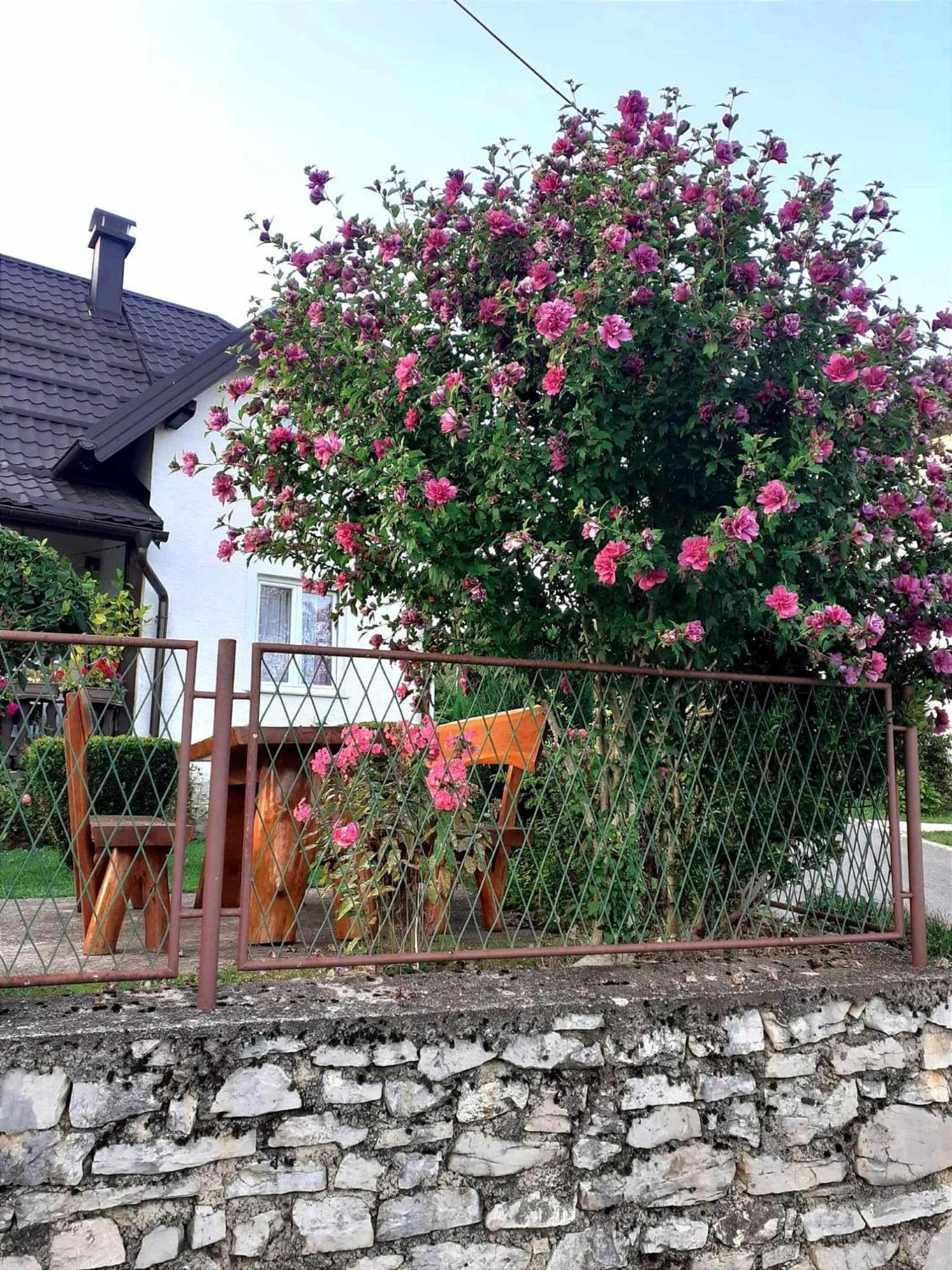 Guesthouse Milka Poljanak Εξωτερικό φωτογραφία