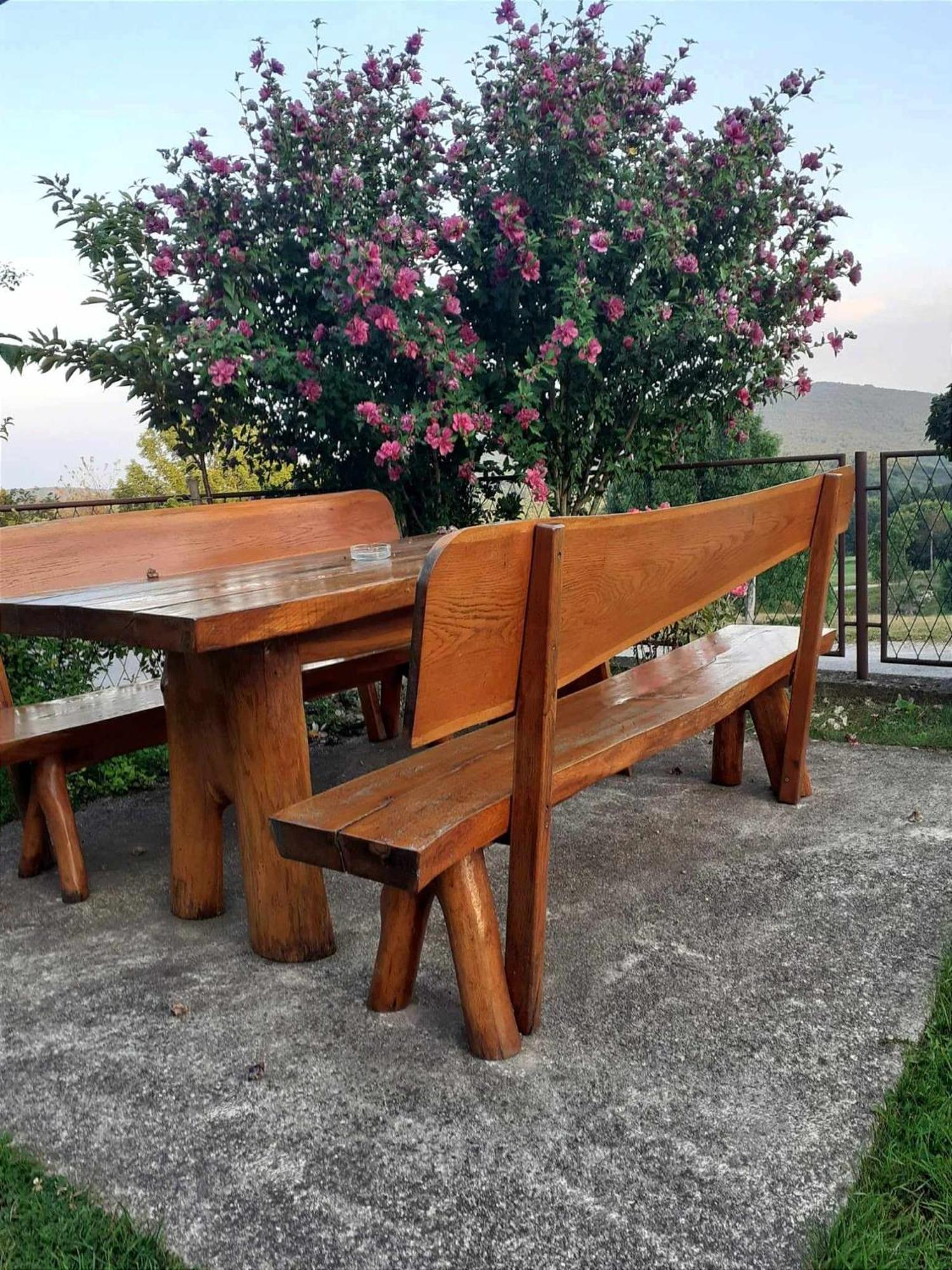 Guesthouse Milka Poljanak Εξωτερικό φωτογραφία